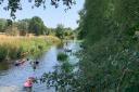 Families enjoying the water at Helen's Picnic site, near Santon Downham, on Tuesday