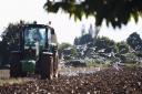 Should tractors like this be banned from the A47? Picture: DENISE BRADLEY