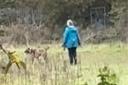 A woman has issued a warning after being attacked by a dog in Mousehold