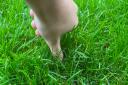 Have you tried the thumb hack? A grass expert said you can use your thumb to measure your grass to see if it's long enough to withstand winter conditions