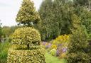 Visit High House Gardens in Shipdham this September.