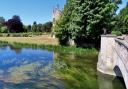 The Hampshire Avon in all its glory