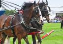 Drivers are facing heavy traffic as they leave the Royal Norfolk Show following its first day