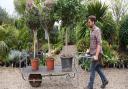 Urban Jungle is one of the best garden centres to visit in and around Norwich.