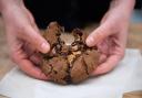 A vegan chocolate and peanut butter cookie from Bread Source.