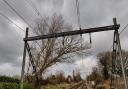 A tree on the line at Chelmsford has caused trains between London and Norwich to be cancelled.