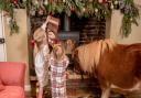 Hanging the Christmas stockings with Jack Brock, Bunny and Bertie