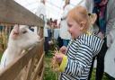 Norfolk HarFest will return on Saturday October 2 to a new venue at the Norfolk Showground