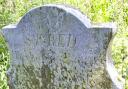 The grave for Dinah Maxey and Elizabeth Smith at Hainford: both women were poisoned