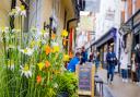 Flowers in the Norwich Lanes during the Florists' Feast event.