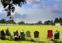 The Norfolk Festival of Cricket at Manor Park