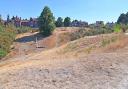 A drought has been declared in Norfolk. Pictured is Mousehold Heath in Norwich looking very dry in the August heat