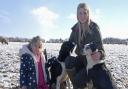 Award-winning Norfolk shepherdess Becky Dixon with daughter Evie and sheepdogs Kip and Swift