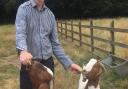 Neonatal consultant Professor Paul Clarke with his goats on his smallholding   Picture: Angelica Clarke