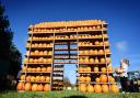 Head to The Pumpkin House in Thursford for Halloween.