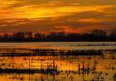 Sunset over the Wildfowl and Wetlands Trust at Welney in Norfolk