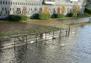 High tides along the River Wensum in Norwich