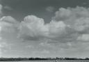 A lone figure along the rows  starkly sums up the lost army of workers  drifting across the Norfolk farming  headlands