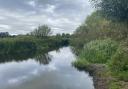 Searches took place in the River Wensum