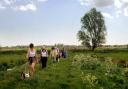 A walk along the Norfolk Broads - Rachel says that many paths are now overgrown and inaccesible