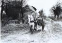 Steady progress with proper Norfolk horsepower provides an inspiring image for hard-pressed regulars at The Shiny Buskins pub