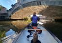 The bird of prey travelled the length of the Wensum on the boat - even dropping off for a nap at one point