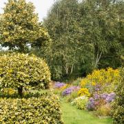 Visit High House Gardens in Shipdham this September.