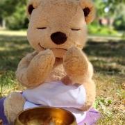 A teddy bear's picnic is coming to Waterloo Park in Norwich.