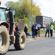 Animal rights protesters at Norwich Livestock Market in July