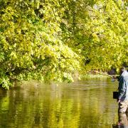 Fishing the wonderful Wensum as the sunk sinks... now, where is John Carrick?