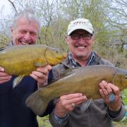 Two great tench caught last year - but one of these is a known fish, going down in weight one season after the next