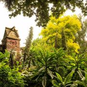 Fiddian's Folly garden