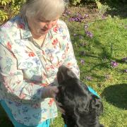 Karen Norton and her retired guide dog Holly