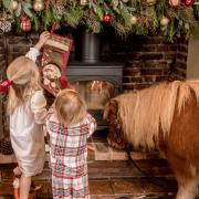 Hanging the Christmas stockings with Jack Brock, Bunny and Bertie