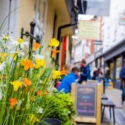 Flowers in the Norwich Lanes during the Florists' Feast event.