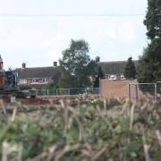 Some of the walls of new homes being built on the Festival Park site being developed off Dereham Road in Easton by Persimmon Homes Anglia