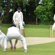 Bowler Mitchell Todd and his Vauxhall Mallard team-mates enjoyed a great cricketing weekend. Picture: ANTONY KELLY