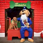 The Santa\'s Grotto for Dogs is returning to The Forum in Norwich for Christmas 2022.