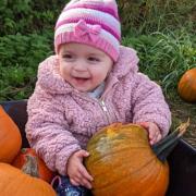 The Rookery Meadows pumpkin patch has doubled in size for 2022.