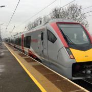 A number of dogs have been struck by a train at Diss