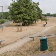 A tree has been stolen from playing fields in Loddon