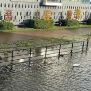 High tides along the River Wensum in Norwich