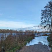 Whitlingham Country Park in Trowse has closed the woods and path section of the nature reserve