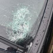 Several vehicles have been targeted in early hour attacks in the city