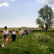 A walk along the Norfolk Broads - Rachel says that many paths are now overgrown and inaccesible