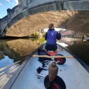 The bird of prey travelled the length of the Wensum on the boat - even dropping off for a nap at one point