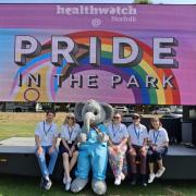 Staff from Healthwatch Norfolk at a Pride in the Park event