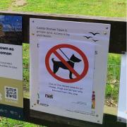 Dogs have been temporarily banned from Caistor Roman Town after yet another sheep attack