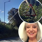 The road sign in Harvey Lane in Norwich has been concealed because a hedge cut has been delayed, which Jane Overhill (inset) says is dangerous