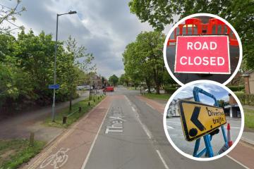 The Avenues in Norwich closes for speed bump roadworks